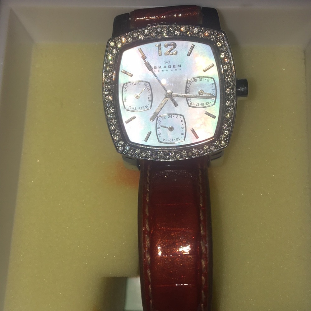 Skagen Watch